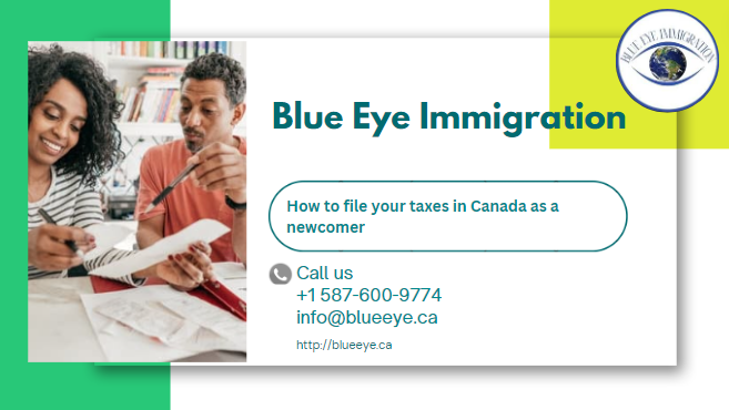 How to file your taxes in Canada as a newcomer